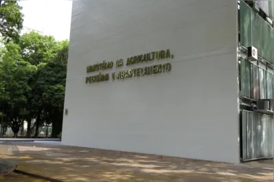 O Ministério da Agricultura informa que medidas sanitárias já estão sendo aplicadas para contenção e erradicação do foco de Influenza Aviária de Alta Patogenicidade