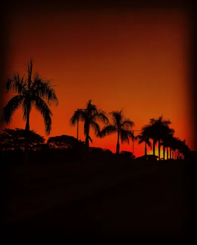 Imagem ilustrativa da imagem CIDADE FALA - 29 de maio