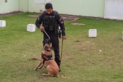 Imagem ilustrativa da imagem Cães da Polícia Penal participam de projeto educativo em Maringá
