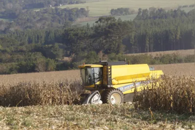 Para o milho, a previsão é que a safra fique em 127,8 milhões de toneladas, incluindo as três safras; um aumento de 12,9%
