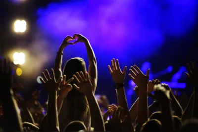 Cheering crowd at concert