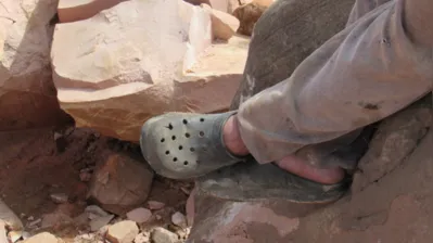 Imagem ilustrativa da imagem Empresa pagará R$ 400 mil para grupo em situação análoga à escravidão