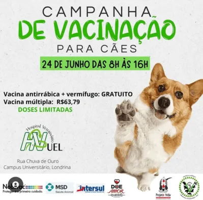 Imagem ilustrativa da imagem HV da UEL realiza campanha de vacinação de cães no sábado