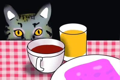 Imagem ilustrativa da imagem Histórias da vida cotidiana: um banquete com o gato