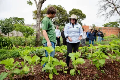 Imagem ilustrativa da imagem Horta solidária de Apucarana busca certificação de cultivo orgânico
