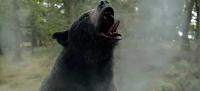 Imagem ilustrativa da imagem Inspirado em história real, 'O Urso do Pó Branco' é a estreia da semana