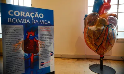 Imagem ilustrativa da imagem Internações por infarto mais que dobraram em 14 anos no Brasil