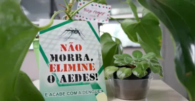 Imagem ilustrativa da imagem Londrina contabiliza 29 mil casos de dengue