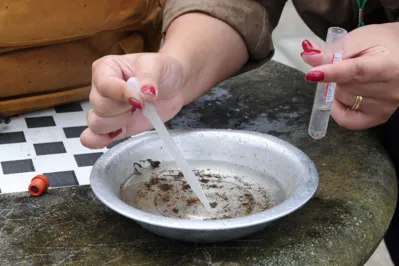 Imagem ilustrativa da imagem Londrina lidera lista de cidades com maior número de óbitos por dengue