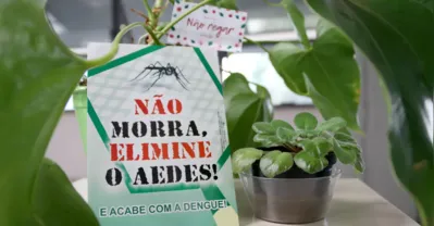 Imagem ilustrativa da imagem Londrina registra 12 mortes por dengue