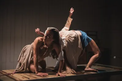 Imagem ilustrativa da imagem Londrina terá  nesta terça  (11)  projeção de videodança  em edifício
