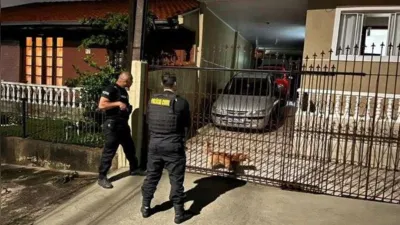 Imagem ilustrativa da imagem Polícia prende em Londrina 4 suspeitos de enviar drogas pelos Correios