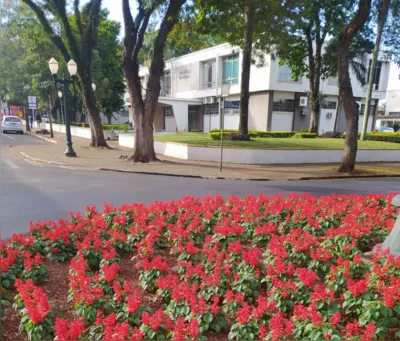 Imagem ilustrativa da imagem Prefeitura de Campo Mourão abre inscrições para contratação de estagiários