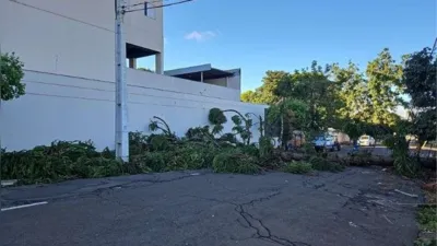 Imagem ilustrativa da imagem Rajadas de vento de quase 70 km/h derrubam árvores em Londrina