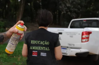 Imagem ilustrativa da imagem Repelente não espanta pombos do Bosque Central de Londrina