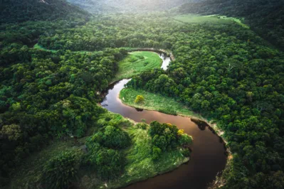 Imagem ilustrativa da imagem Semana do meio Ambiente tem programação especial na TV Cultura