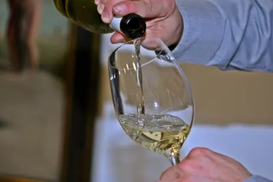 Imagem ilustrativa da imagem Sommelier: o responsável por provar a qualidade do vinho