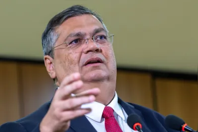 O ministro da Justiça e Segurança Pública, Flávio Dino (PSB),  disse que os termos de uso não se sobrepõem à Constituição e às leis e não são maiores que a vida de crianças e adolescentes