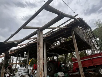 Imagem ilustrativa da imagem Vendaval causa estragos na zona rural de Ribeirão Claro