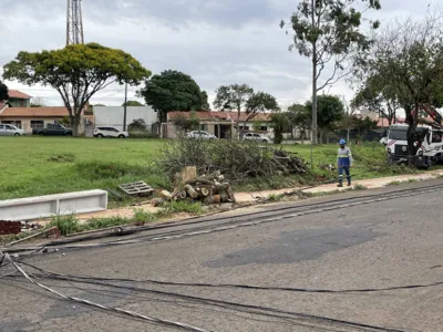 Imagem ilustrativa da imagem Ventos de 71 km/h derrubam árvores e deixam motociclista ferido em Londrina