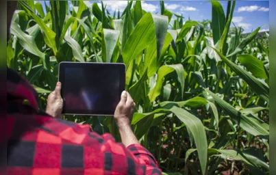 Imagem ilustrativa da imagem Agricultura e AL buscam alternativa para aumentar conectividade no campo