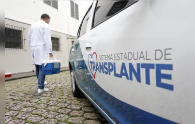 Imagem ilustrativa da imagem Brasil tem recorde de transplantes de órgãos no primeiro semestre