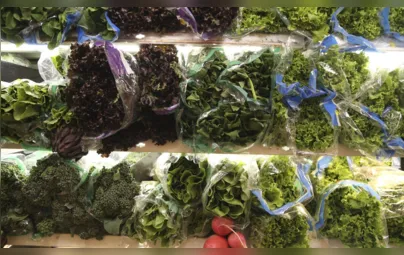 Imagem ilustrativa da imagem Frio impacta preços de frutas e hortaliças no atacado