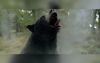Imagem ilustrativa da imagem Inspirado em história real, 'O Urso do Pó Branco' é a estreia da semana