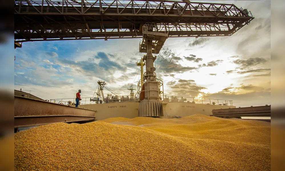 As exportações de milho pelo Paraná em 2023 atraíram mais de R$ 5,7 bilhões para a balança comercial do Estado