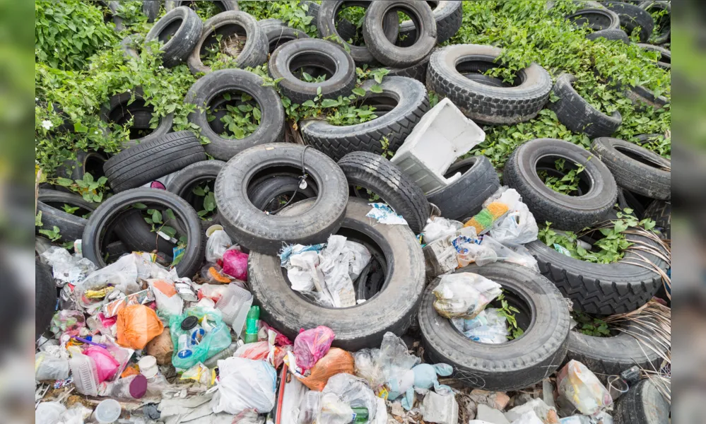 Não acumular lixo e manter o quintal limpo são ações fundamentais para o enfrentamento da doença