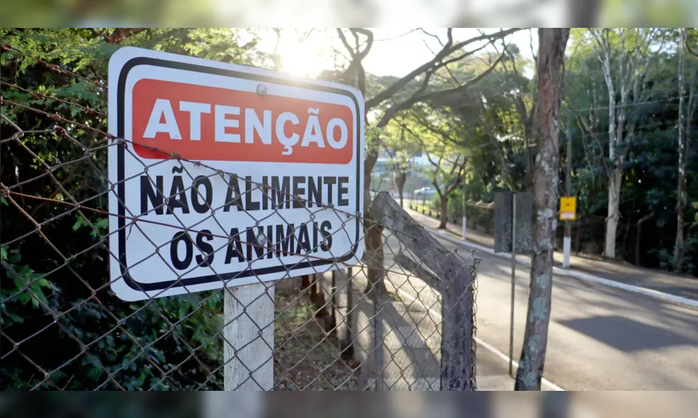 Imagem ilustrativa da imagem Sema de Londrina orienta população a não alimentar animais silvestres