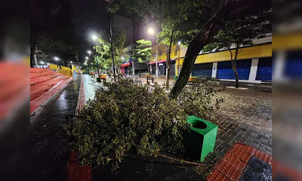 Imagem ilustrativa da imagem Temporal  causa estragos em várias regiões de Londrina