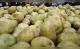 Cesta básica fecha dezembro com alta de 8,5% em Londrina