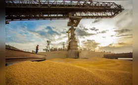 Imagem ilustrativa da imagem Com 4,7 milhões de toneladas, PR bate recorde na exportação de milho