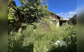 Donos de terreno com mato alto poderão ser multados em Londrina