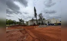 Empresa contesta multa da Sema por erradicação de árvores na Câmara