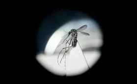 Grávida de 25 anos tem morte confirmada por dengue em Londrina
