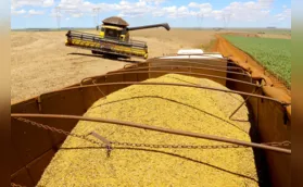 Cooperativa avalia em 35% a redução da produtividade da soja
