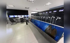 Laudos da UEL apontam que água estava boa para consumo, diz secretário