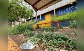 Lixo e mato alto preocupam moradores na Vila Brasil