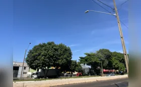 Londrina Iluminação registrou prejuízo de quase R$ 50 mil com furtos de cobre
