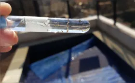 Londrina já registra duas mortes por dengue neste ano