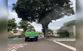 Londrina registra mais duas mortes por dengue neste ano