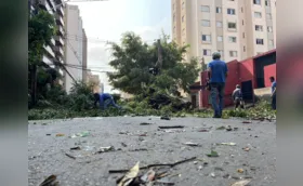 Londrina tem dia de contabilização de prejuízos e reparos após vendaval