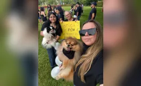 Morte de cachorro Fox é lembrada no Dia de Finados