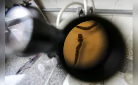 Mortes por dengue disparam 400% em um ano em Londrina