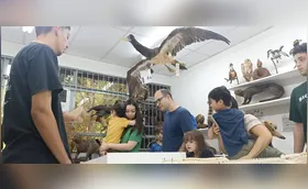 Museu de Zoologia da UEL abre para visitação da comunidade