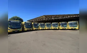 Noventa e seis ônibus do transporte coletivo serão substituídos até novembro