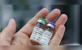 Paraná não vai ampliar faixa etária de vacinação contra a dengue