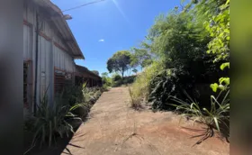 Roçagem de escola desativada no jardim Paulista é incluída em contrato